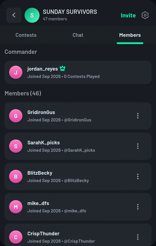 The Members tab of a group: the Commander at the top, then members each with a menu.